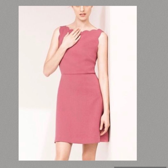 LOFT Raspberry Scalloped Edge Sheath Dress - Picture 2 of 6